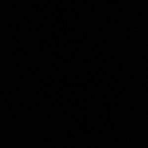 Meet your Posher, Aviva